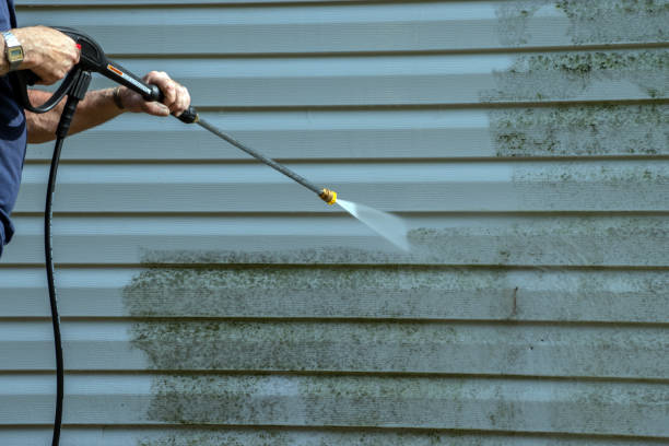 Best Restaurant Pressure Washing  in Haines, AK