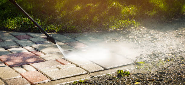 Best Gutter Cleaning  in Haines, AK